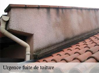 Urgence fuite de toiture