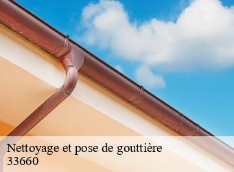 Nettoyage et pose de gouttière