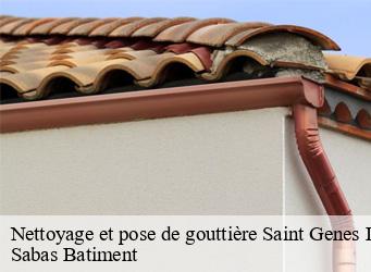 Nettoyage et pose de gouttière