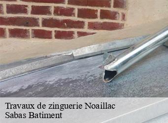 Travaux de zinguerie